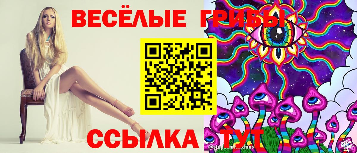 Кинель  Псилоцибиновые грибы Cubensis  Вход с VPN 