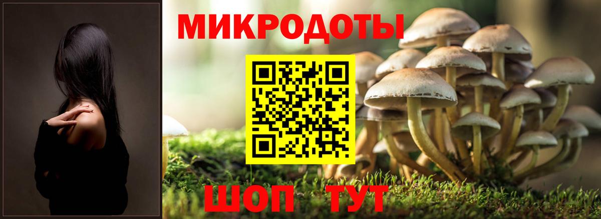 Псилоцибиновые грибы Magic Shrooms Кинель